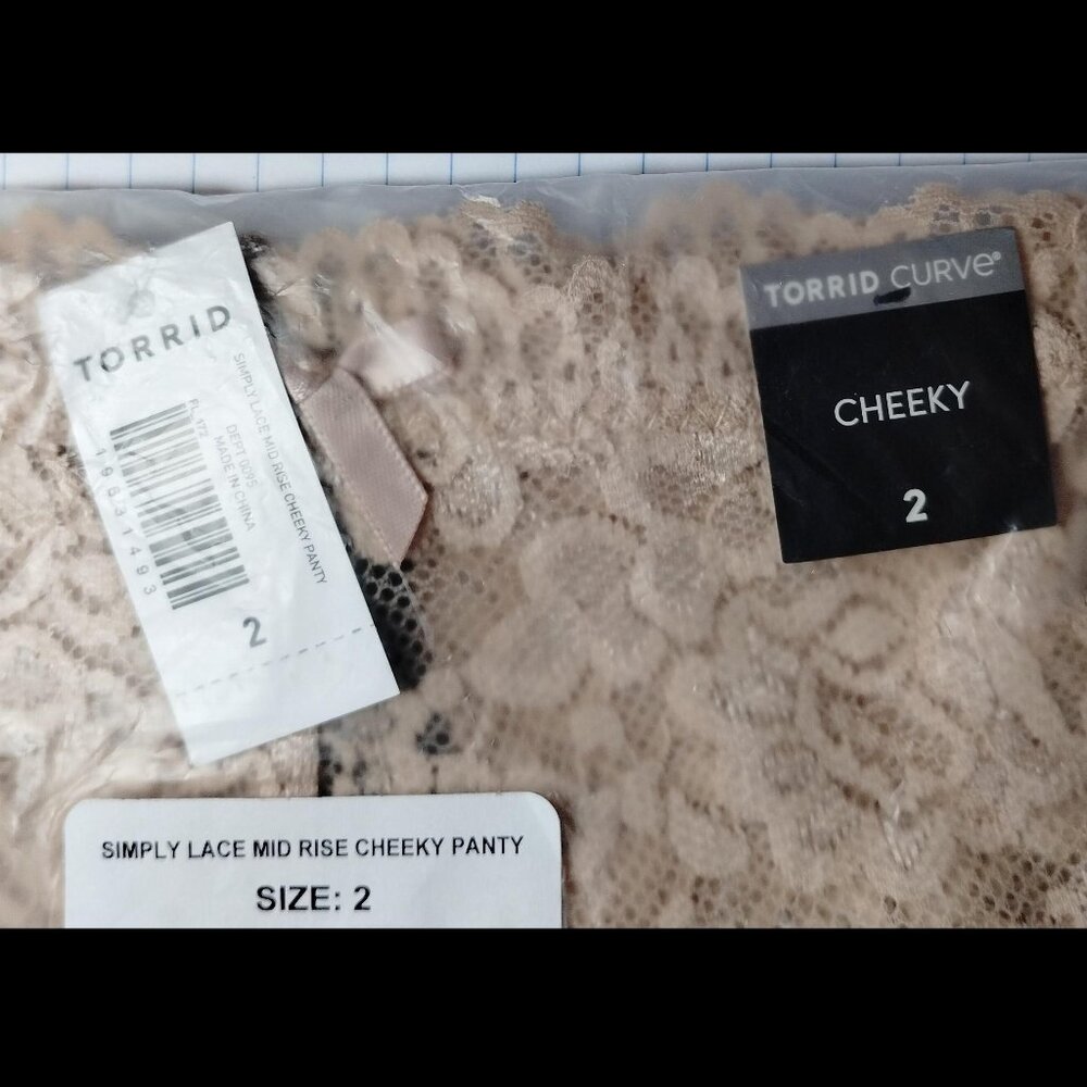 Sz 2 Torrid Curve Lace Mid Rise Cheeky Panty Rose Dust Beige